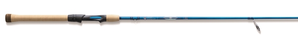 LTIS Rod
