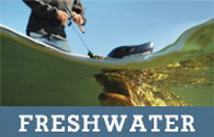 freshwater