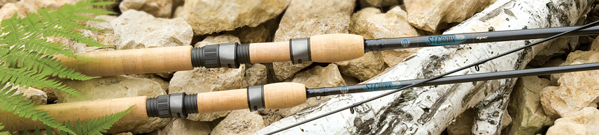 FW avid spinning2 main