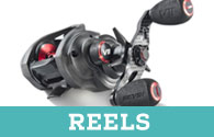 reels