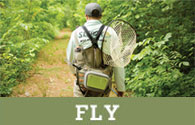fly